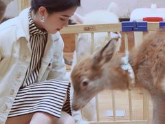 -猫色咖啡·猫咖