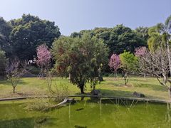 -厦门悦华酒店