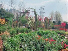 -三圣花乡旅游区