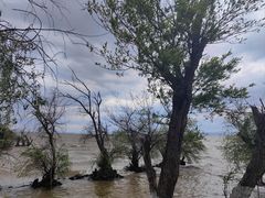 -捞渔河湿地公园