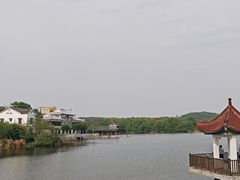 -大塘金香草谷