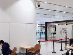 大堂-麦当劳(北京大兴机场二层国内到达(安检外)店)