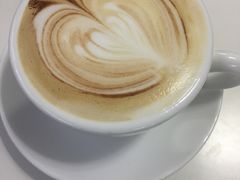 -喵的天空名猫咖啡馆·撸猫·猫舍·用品