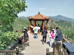 -大岭沟猕猴桃谷风景区