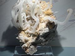 -甘肃地质博物馆