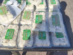 -北三沙家烧麦(北头道街店)