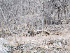 -南京金牛湖风景区