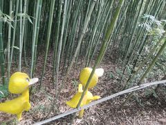-竹泉村旅游度假区