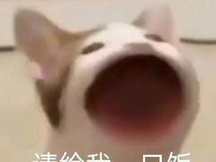 -清真李唯一优质肉丸糊辣汤