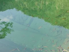 -白云源风景区