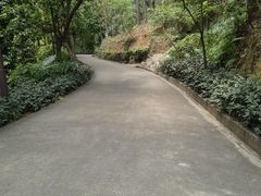 -南岗山公园
