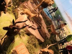 -陕西自然博物馆