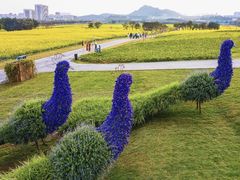 -光明小镇欢乐田园