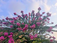 -杭州城北体育公园