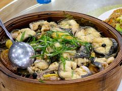 葱烧河鳗鱼-阿静美食