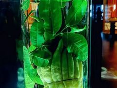 -广东中医药博物馆