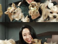 -百好乐宠物友好餐厅(朝外大街店)