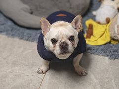 -山姆会员商店(杨桥西路店)