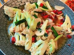 -陈麻婆豆腐总店