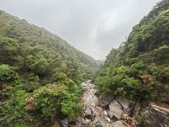 -庐山碧龙潭风景区