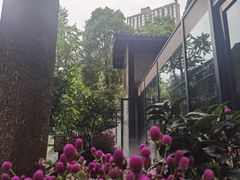 -大妙火锅·非物质文化遗产(东湖公园店)