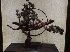 -华夏良子·足道SPA艾灸(王府井店)