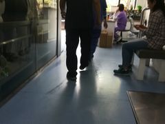 -伟伟宠物医院·CT影像中心·瑞派犬猫综合性门诊(汉口总院)