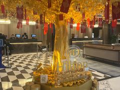 -上海虹桥祥源希尔顿酒店