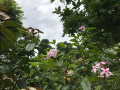 河川一隅-河川生态园