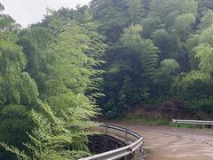 -四明山国家森林公园