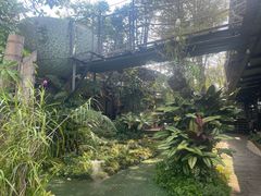 -Ohkajhu Organic Farm Sansai