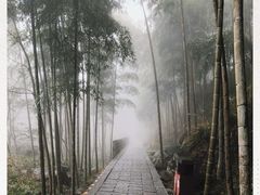 -明月山风景名胜区