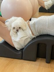 -AN普拉提女子健身工作室
