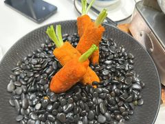-丁老爷子苏香圆
