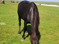 -呼和诺尔旅游景区