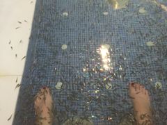 -水晶之星洗浴温泉汗蒸