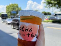 -鱼宴馆·家宴老字号淳鱼馆(千岛湖总店)