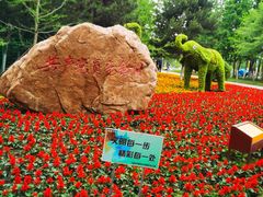 -长白岛森林公园