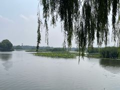 -白洋淀景区
