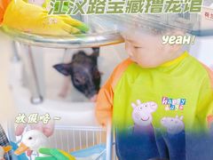 -怪兽屋·羊驼·猫咖·狗咖(俊华广场店)