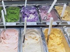-鹤茶野所(上海首店)