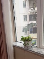 -厦门美莱整形美容医院