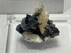 -湖南省地质博物馆