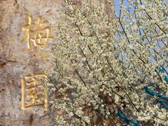 -东南大学(九龙湖校区)