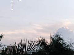 -番禺大夫山森林公园