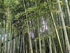 -汇龙潭