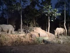 -清迈夜间动物园