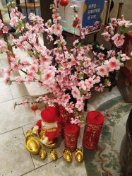 -海茱雅科技健康美容