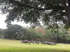 -广州雕塑公园