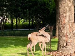 -养云安缦吧THE BAR